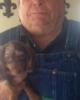 Gary is single in Many, LA USA