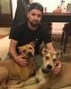 Ken is single in Mount Prospect, IL USA