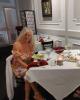 Chris is single in Port Orange, FL USA
