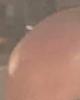 Howie is single in Elburn, IL USA