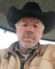 Wayne is single in Rogersville, MO USA
