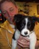 Thomas is single in Trafford, PA USA