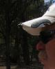 Walt is single in Kingman, AZ USA