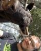 Hunter is single in New Market, AL USA