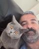 Stephen Ryan is single in Advance, NC USA