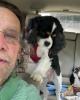Ron is single in Toccoa, GA USA