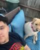 Connor is single in Santa Ana, CA USA