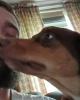 Sam is single in Osage, OK USA