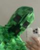 Layna is single in Mount Pleasant, MI USA