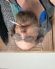 Chris is single in Westby, MT USA
