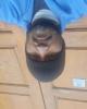 Sam is single in Tacoma, WA USA