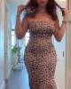 Sandra Hook is single in Ottawa, ON CAN