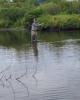 Troy is single in Delano, MN USA
