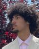 Jariel is single in Harrisburg, PA USA